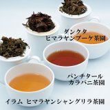 2025年ネパールファーストフラッシュ3産地3茶園セット
