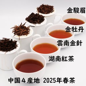 画像1: 2025年春茶 中国紅茶4産地セット