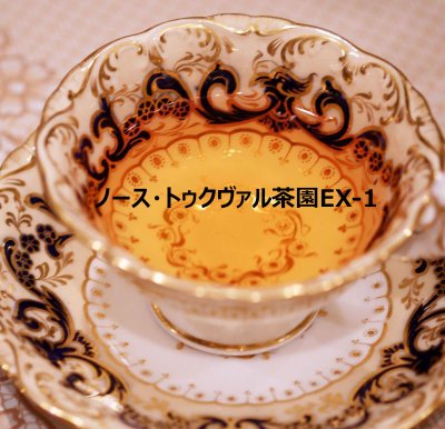 画像2: 2025年ダージリンファーストフラッシュ3茶園セット