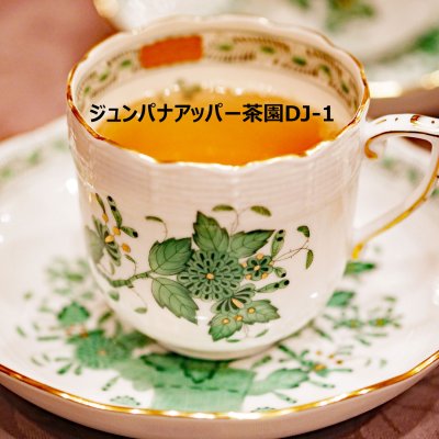 画像1: 2025年ダージリンファーストフラッシュ3茶園セット