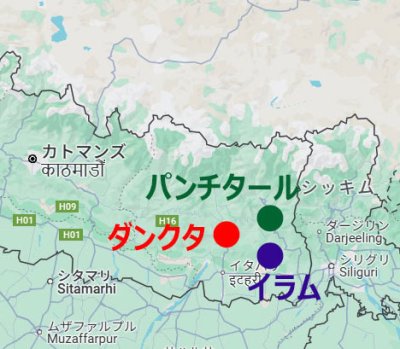 画像1: 2025年ネパールファーストフラッシュ3産地3茶園セット