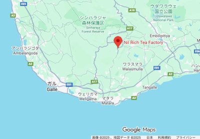 画像3: ニルリッチ茶園FBOP/2025年8月摘み